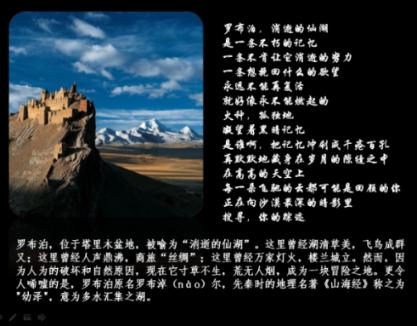 范加尔:荷兰足球第一主帅,现在执教哪支球队?