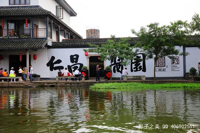 逃离白鸽之森