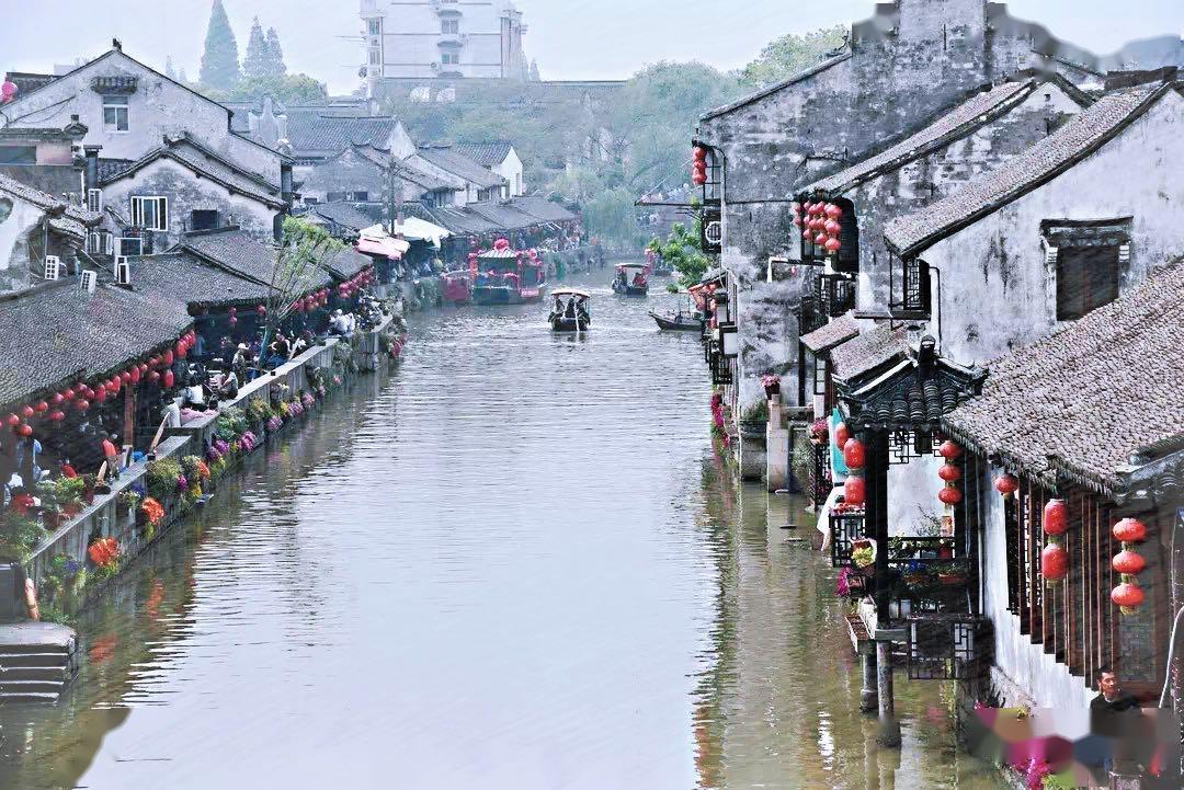 动物帮帮忙保卫家园