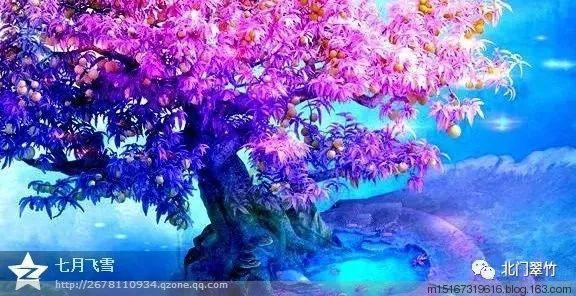 第一次探险