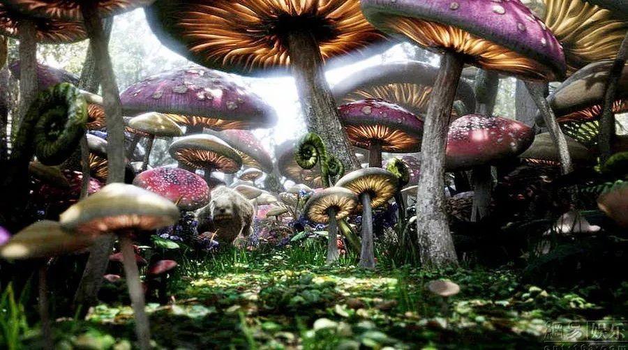 降雪是降水的一种形式对吗？游戏画面